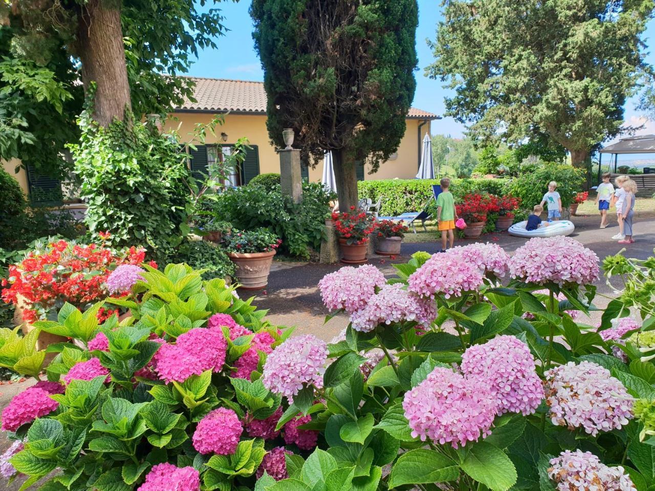 Elena Aparthotel Guardistallo